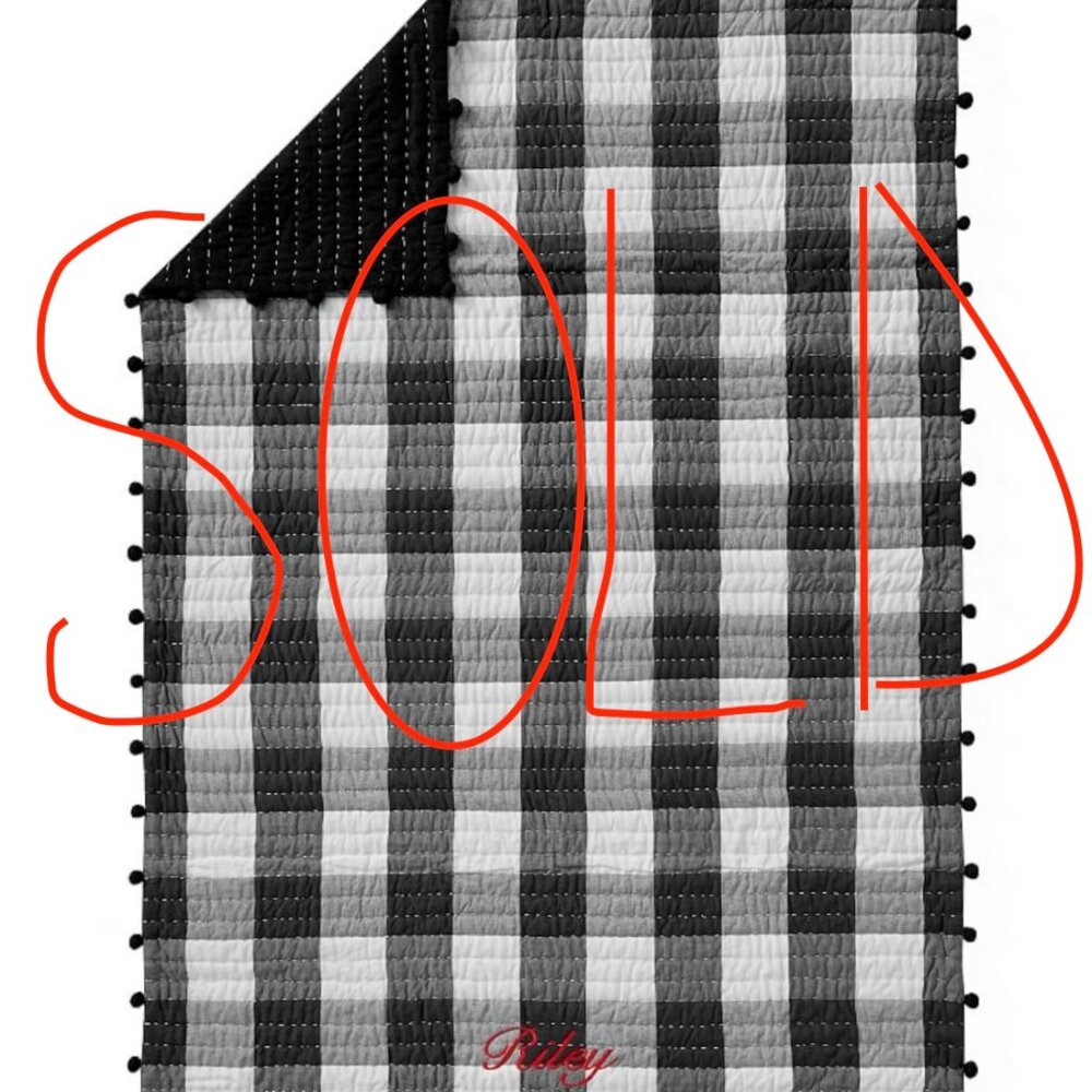 Pottery Barn Baby Check Quilt